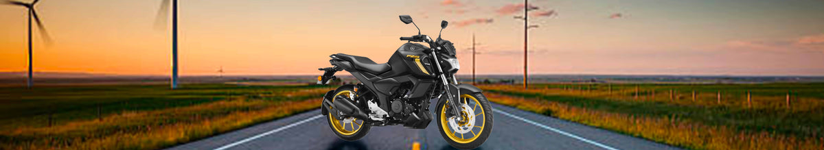 FZ V4.0