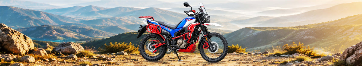 XPULSE 210